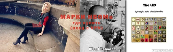 прущие грибы Пестово