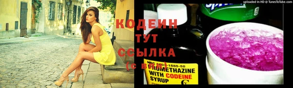 2c-b Пересвет