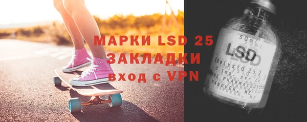 прущие грибы Пестово