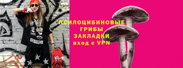 2c-b Пересвет