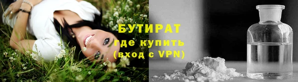 прущие грибы Пестово