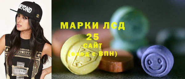 прущие грибы Пестово