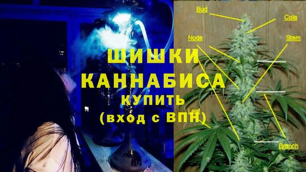 2c-b Пересвет