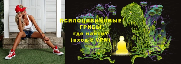 прущие грибы Пестово