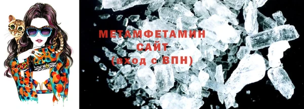 прущие грибы Пестово