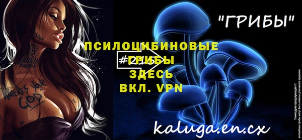 прущие грибы Пестово