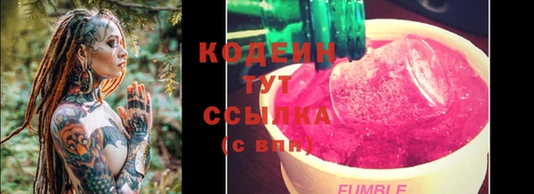 прущие грибы Пестово