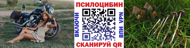 Псилоцибиновые грибы ЛСД  Купить закладки  Кущёвская 